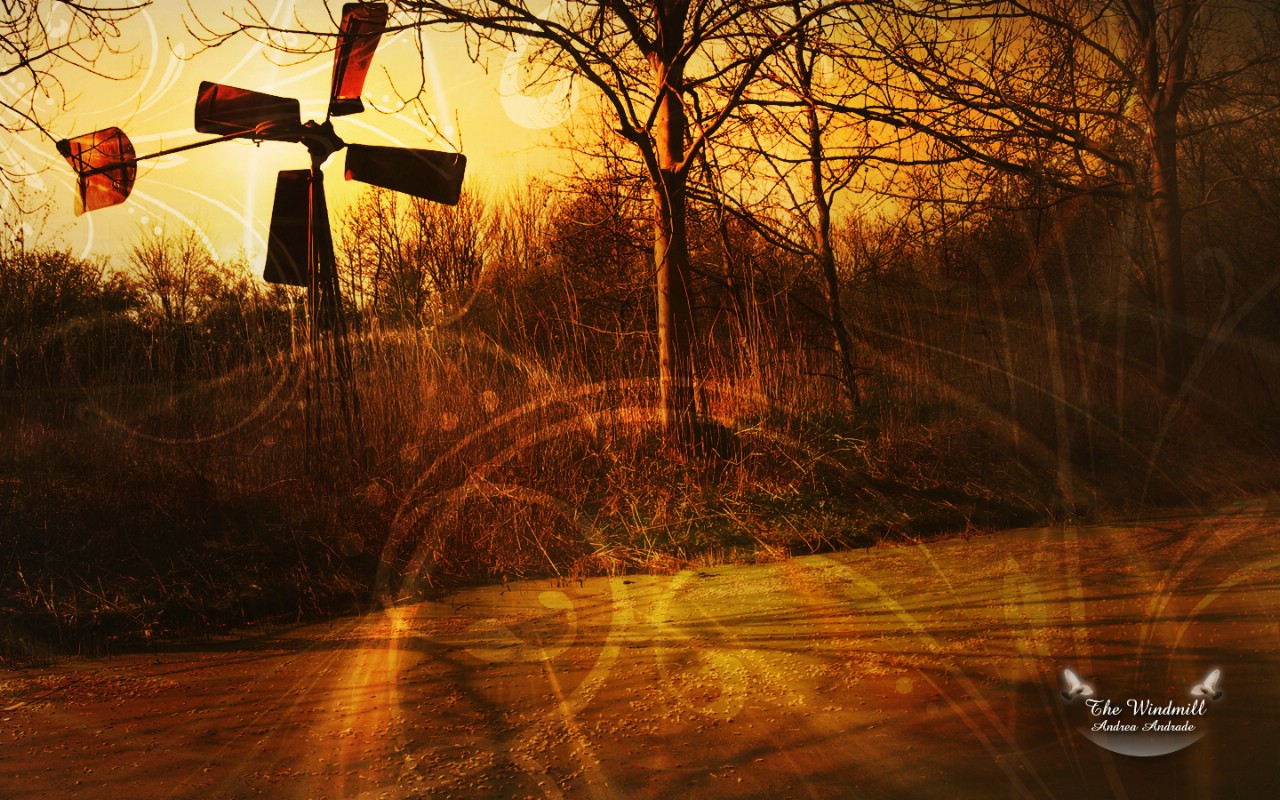 壁纸1280×80019寸自然风景桌面壁纸壁纸,19