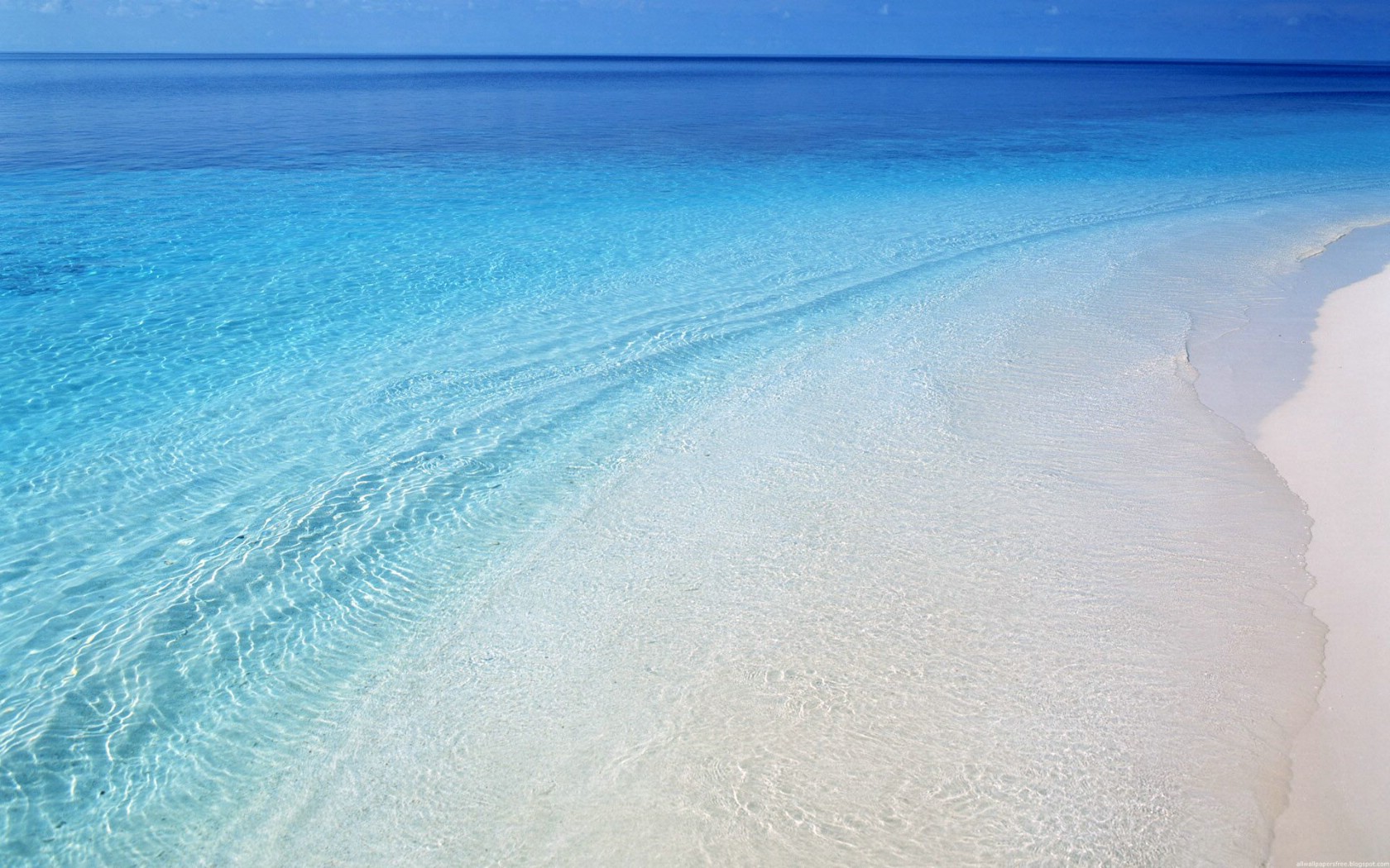 壁纸1680×1050海洋世界动态桌面壁纸壁纸,海洋世界动态桌面壁纸壁纸图片-风景壁纸-风景图片素材-桌面壁纸