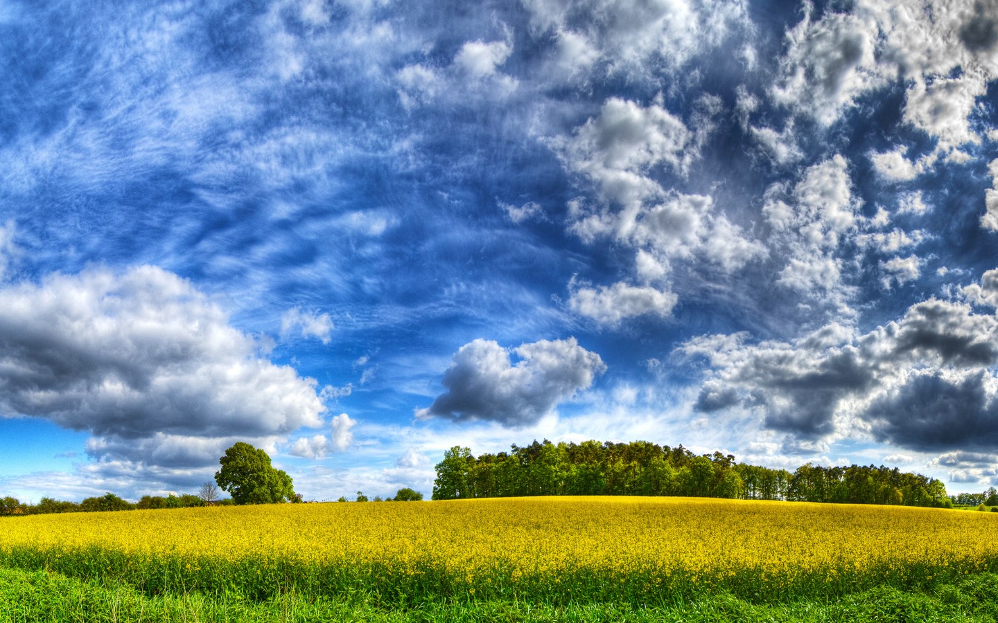 1440 900HDR HDR 1440-900hdr-hdr