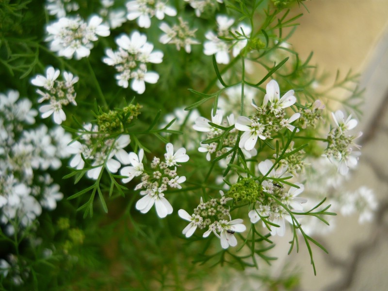 2010年三月cctv5nba直播节目表拜托各位了 3Q